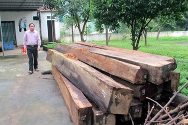 Lại chết người do gỗ lậu ở Xiêng My