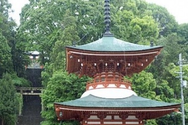 Ngôi đền treo hàng trăm “bộ ngực” phụ nữ ở Nhật Bản