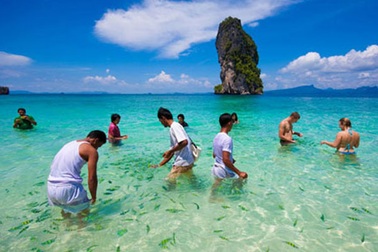 Vẫn nóng tour giờ chót