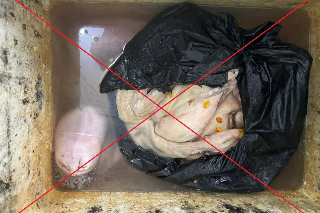 Xử lý người đăng ảnh đồ ăn có dòi để bóc phốt quán vịt ở Quảng Ninh - 2 Xử lý người đăng ảnh đồ ăn có dòi để bóc phốt quán vịt ở Quảng Ninh - 2