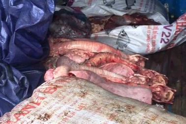 Nội tạng động vật bốc mùi hôi thối chuẩn bị thâm nhập thị trường