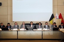 Nhà vua Bỉ đánh giá cao quan hệ hợp tác với Việt Nam