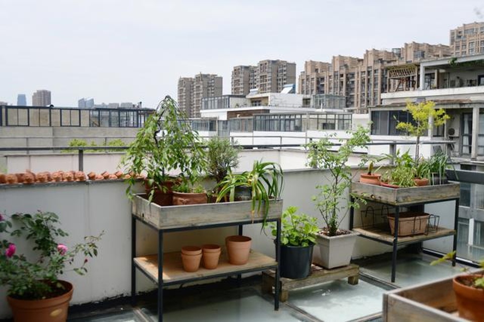 Vườn hoa sân thượng đẹp như thiên đường của vị giám đốc bận rộn - 5 Vườn hoa sân thượng đẹp như thiên đường của vị giám đốc bận rộn - 5