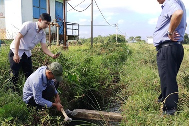 Vụ bò làm lộ "bê tông cốt cây": Truy trách nhiệm giám sát thi công