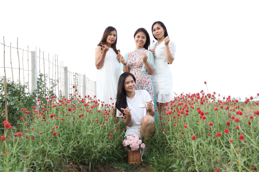 Nữ thạc sĩ bỏ việc lương cao, về quê dãi nắng dầm mưa trồng hồng hữu cơ - 9 Nữ thạc sĩ bỏ việc lương cao, về quê dãi nắng dầm mưa trồng hồng hữu cơ - 9