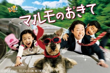 Câu chuyện gia đình