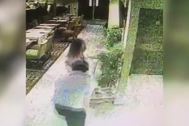 Thán phục người phục vụ bàn “dù ngã cũng không rơi đĩa”