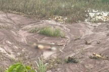 Phát hiện thi thể người phụ nữ nằm giữa cánh đồng ở Gia Lai