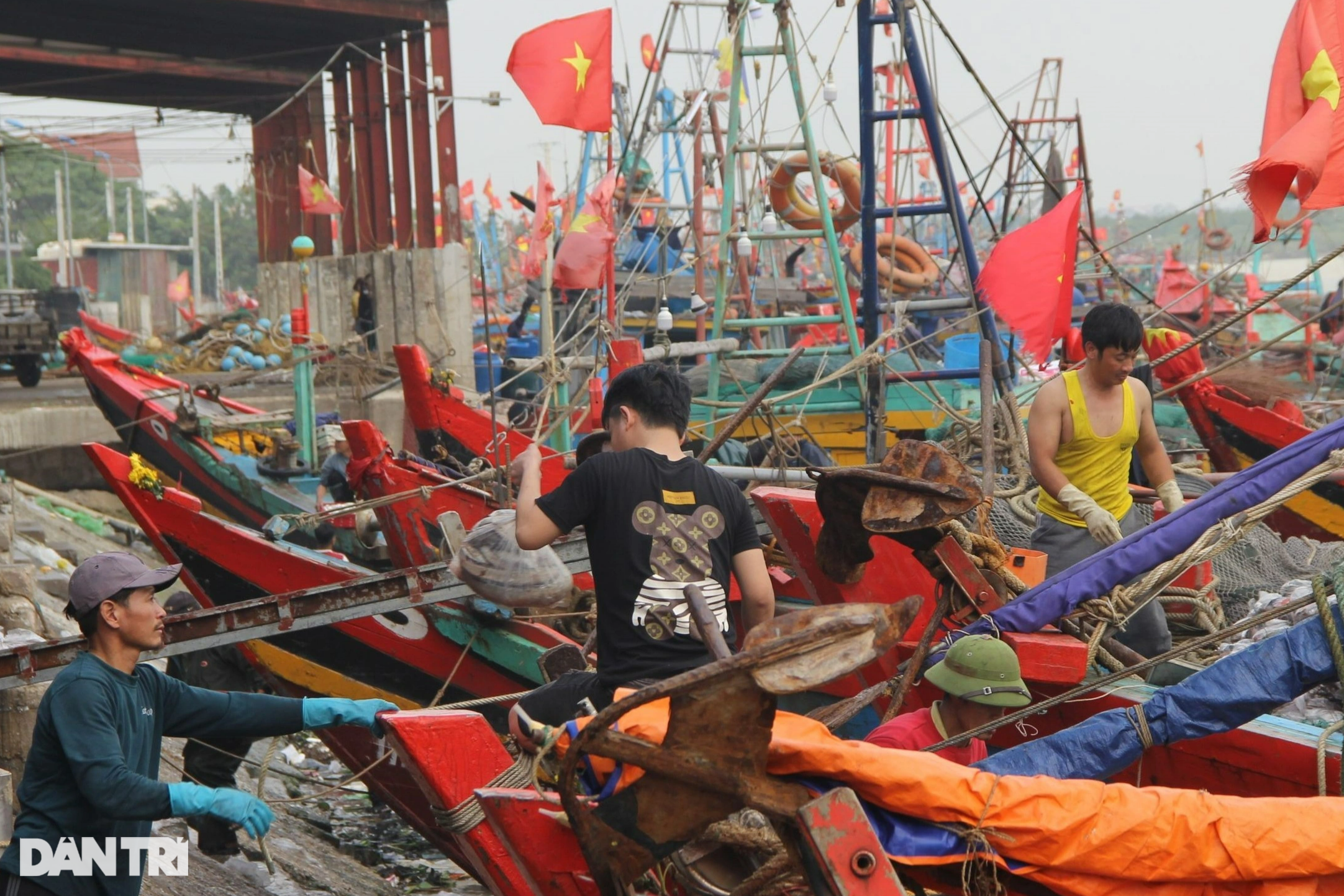 Ngư dân hốt bạc từ những chuyến đi biển cuối năm - 1 Ngư dân hốt bạc từ những chuyến đi biển cuối năm - 1