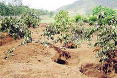 Tan hoang di chỉ khảo cổ Làng Vạc 