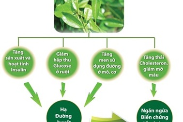 Công ty Nam Dược thành công với mô hình dược liệu sạch