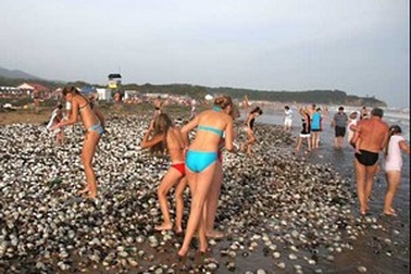 Cơn “mưa cá” kỳ lạ tại Sri Lanka