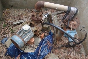 Đi thăm trang trại tá hỏa phát hiện xác người chết