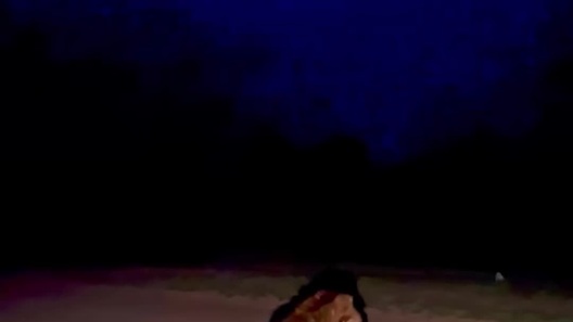 Bầy sư tử giật mình hốt hoảng khi nghe thấy tiếng sấm