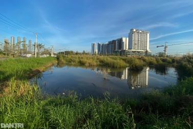 Quá hạn nộp tiền đợt đầu, 3 công ty đấu giá đất Thủ Thiêm vẫn "bất động"