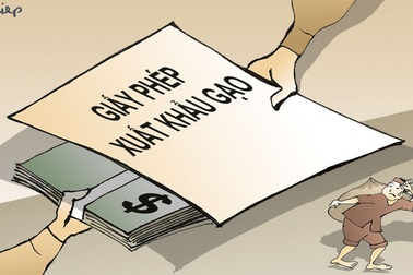 Tiết lộ “rúng động” và cuộc trường kỳ chống tham nhũng