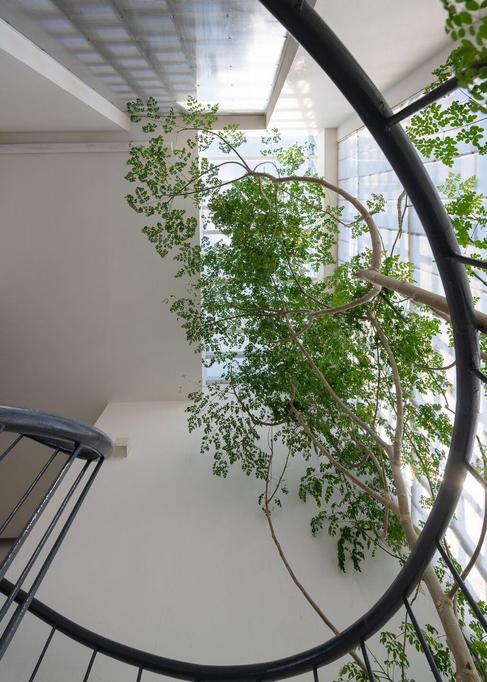 Nhà ven biển Vũng Tàu sở hữu vườn xanh bên trong, view siêu đẹp bên ngoài - 5 Nhà ven biển Vũng Tàu sở hữu vườn xanh bên trong, view siêu đẹp bên ngoài - 5