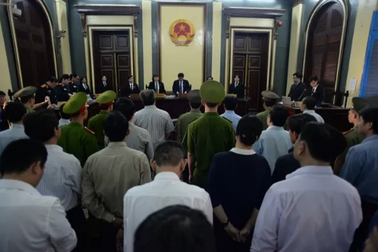 Tổng Giám đốc khóc nức nở, thề “chỉ ký thôi chứ không biết gì”