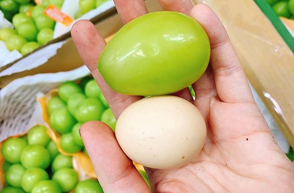 Nho Nhật Bản siêu đắt đỏ: Ăn đủ combo mất 20 triệu đồng - 3 Nho Nhật Bản siêu đắt đỏ: Ăn đủ combo mất 20 triệu đồng - 3