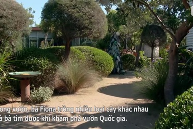 Người phụ nữ dành 35 năm "điêu khắc" cảnh quan, làm vườn rau trái sạch