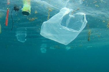 Doanh nghiệp Việt đặt mục tiêu mỗi năm giảm 300 tấn rác nhựa dùng một lần