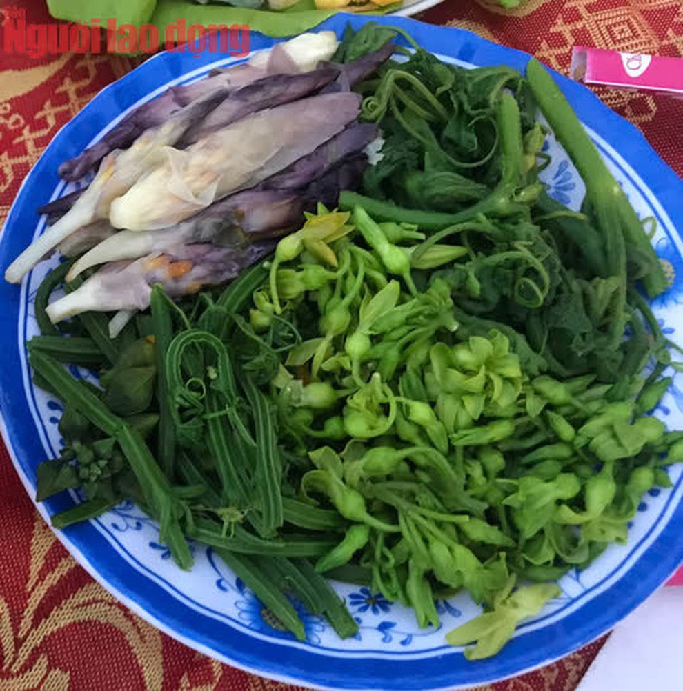 Bông giờ - quà độc lạ của mùa thu xứ Nẫu - 7 Bông giờ - quà độc lạ của mùa thu xứ Nẫu - 7