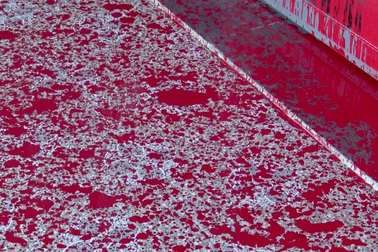 Truy tìm thanh niên bịt mặt nửa đêm tạt sơn 3 ngôi nhà