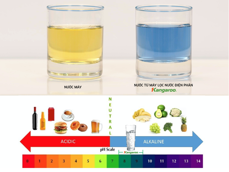“Nước sống” hydrogen ion kiềm chăm sóc da hiệu quả, được bác sĩ khuyên dùng - 6 “Nước sống” hydrogen ion kiềm chăm sóc da hiệu quả, được bác sĩ khuyên dùng - 6