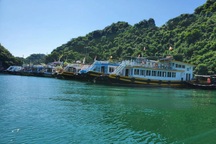 Mở lại du lịch nội tỉnh, điểm đến Cát Bà liệu có thoát cảnh đìu hiu?