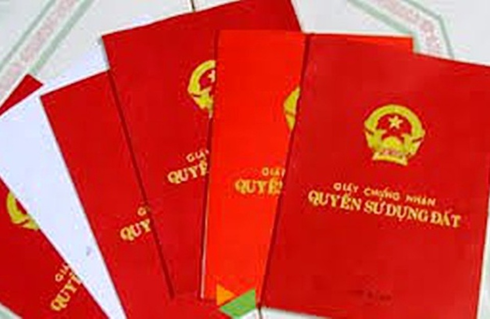 Bình Định chỉ đạo điều tra, triệt phá đường dây làm giả sổ đỏ - 1 Bình Định chỉ đạo điều tra, triệt phá đường dây làm giả sổ đỏ - 1