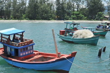 Thiết lập vườn ươm san hô trên vùng biển Phú Quốc