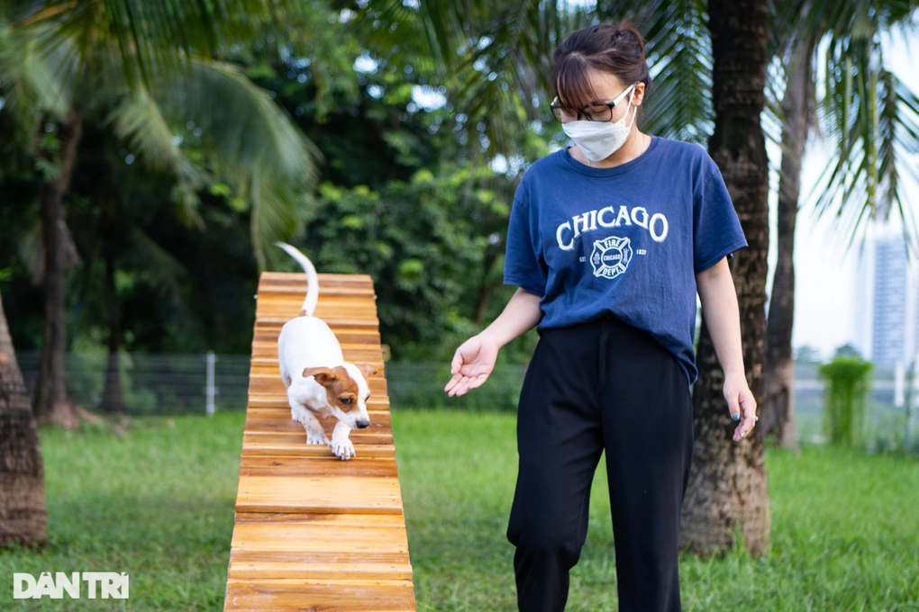 Độc đáo công viên dành cho chó với kinh phí gần nửa tỷ đồng ở Hà Nội - 6 Độc đáo công viên dành cho chó với kinh phí gần nửa tỷ đồng ở Hà Nội - 6