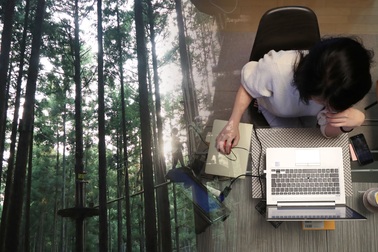 Nhật Bản chi "khủng" hỗ trợ người bỏ phố về quê, làm việc từ xa