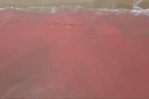 Lấy mẫu, tìm nguyên nhân nước biển chuyển màu đỏ ở Hà Tĩnh