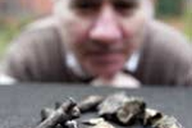 Lời nguyền của phù thủy nước Anh