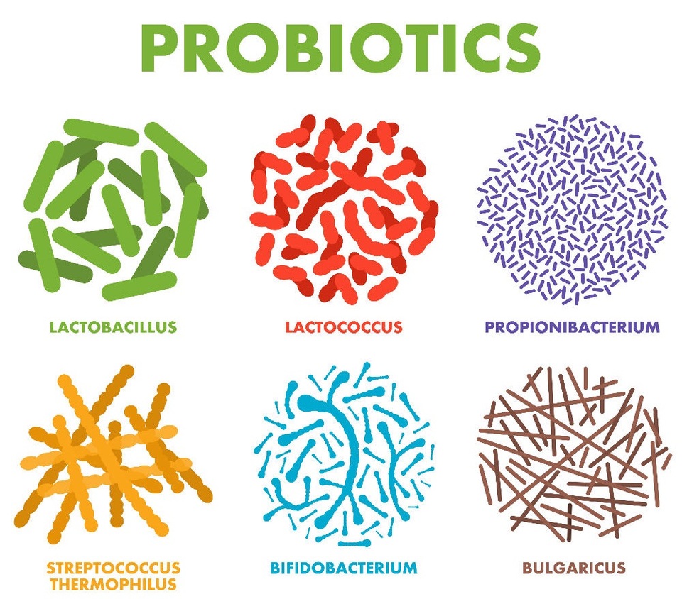 Xà phòng bổ sung Probiotic - Bước phát triển mới, an toàn và không gây kích ứng cho mọi loại da - 1 Xà phòng bổ sung Probiotic - Bước phát triển mới, an toàn và không gây kích ứng cho mọi loại da - 1
