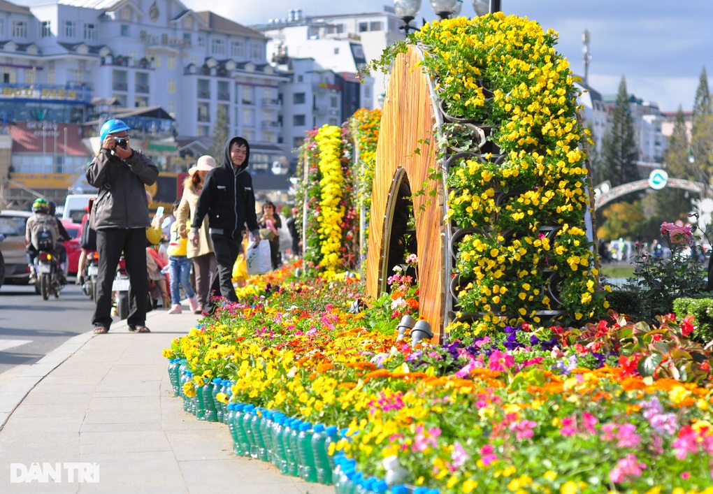 Dự kiến kinh phí tổ chức Festival Hoa Đà Lạt khoảng 60 tỷ đồng - 1