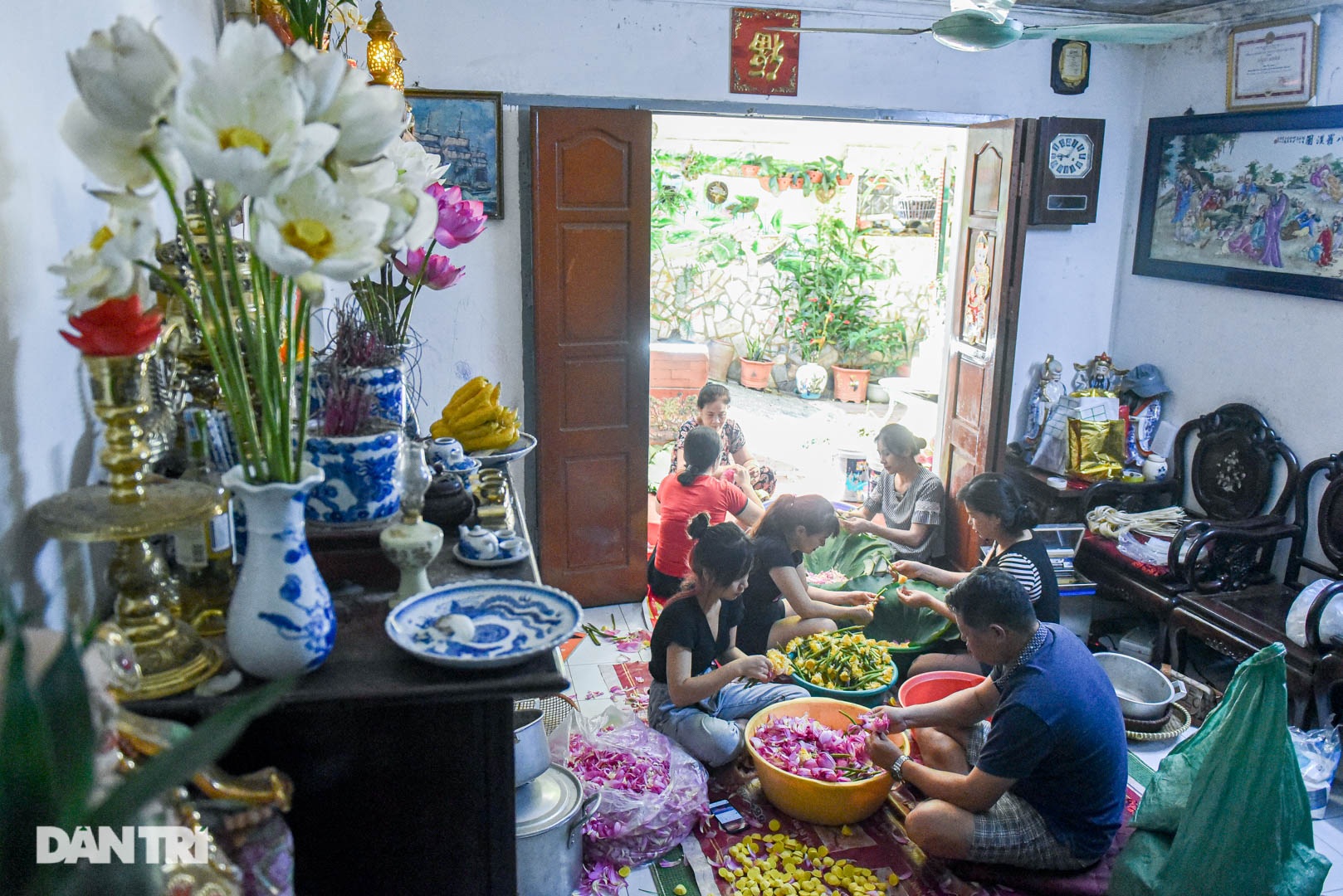 Gia đình Hà Nội 7 thập kỷ làm thứ trà hảo hạng, giá chục triệu/kg - 1 Gia đình Hà Nội 7 thập kỷ làm thứ trà hảo hạng, giá chục triệu/kg - 1