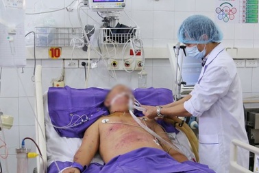 Người đàn ông nguy kịch vì liên cầu lợn tấn công