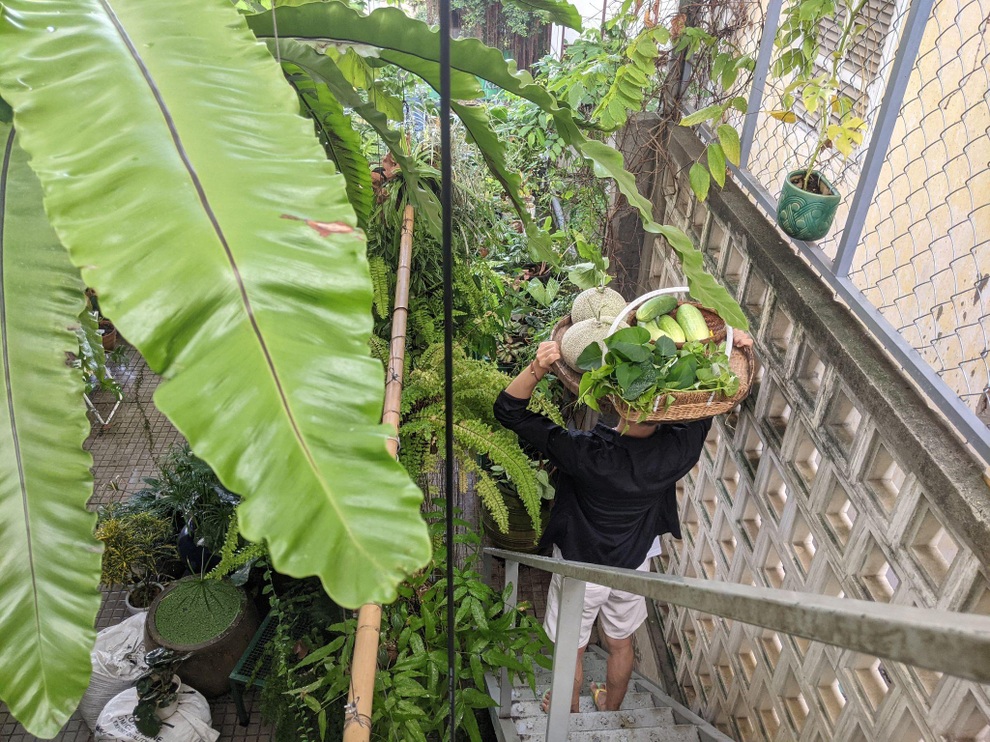 Kiến trúc sư lột xác sân thượng cũ bằng khu vườn sum suê giữa TPHCM - 12