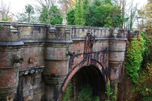 Giải mã bí ẩn ở cây cầu lạ khiến hàng trăm con chó tự tử hàng loạt