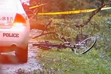 Diễn viên qua đời vì bị cây đổ đè trúng