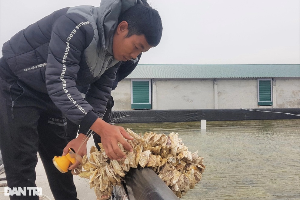 Chàng trai 8X nuôi con nhỏ li ti, thu tiền tỷ mỗi năm - 2 Chàng trai 8X nuôi con nhỏ li ti, thu tiền tỷ mỗi năm - 2