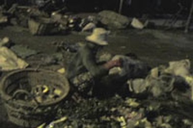 Bới rác đổi gạo nuôi con