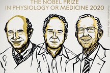 Ba nhà khoa học thắng giải Nobel Y Sinh học với nghiên cứu về viêm gan C