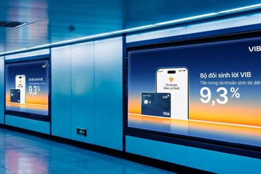 Bộ đôi sinh lời VIB: Giải pháp tối ưu cho tiền nhàn rỗi và tiền chi tiêu