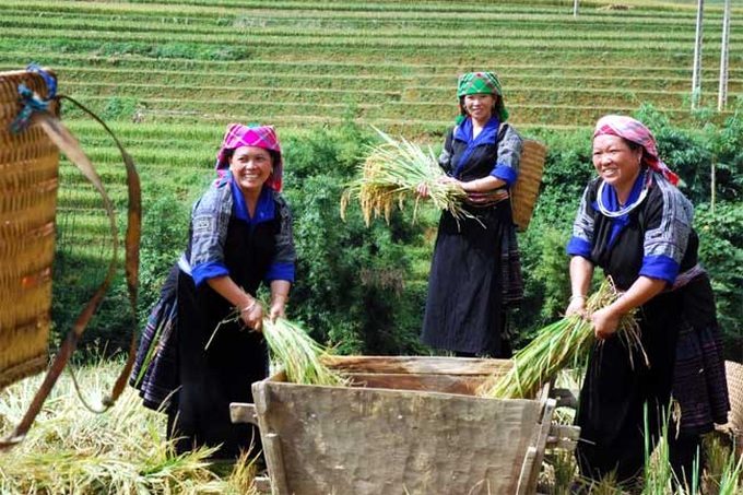 Chương trình MTQG giảm nghèo bề vững giúp nâng cao đời sống đồng bào dân tộc thiểu số.