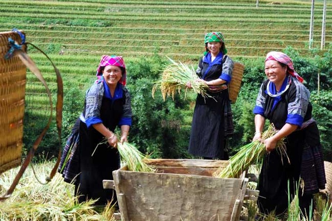 Chương trình MTQG giảm nghèo bề vững giúp nâng cao đời sống đồng bào dân tộc thiểu số. 