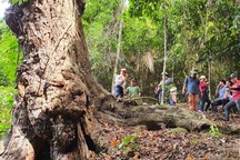 Thành lập Vườn Quốc gia Sông Thanh