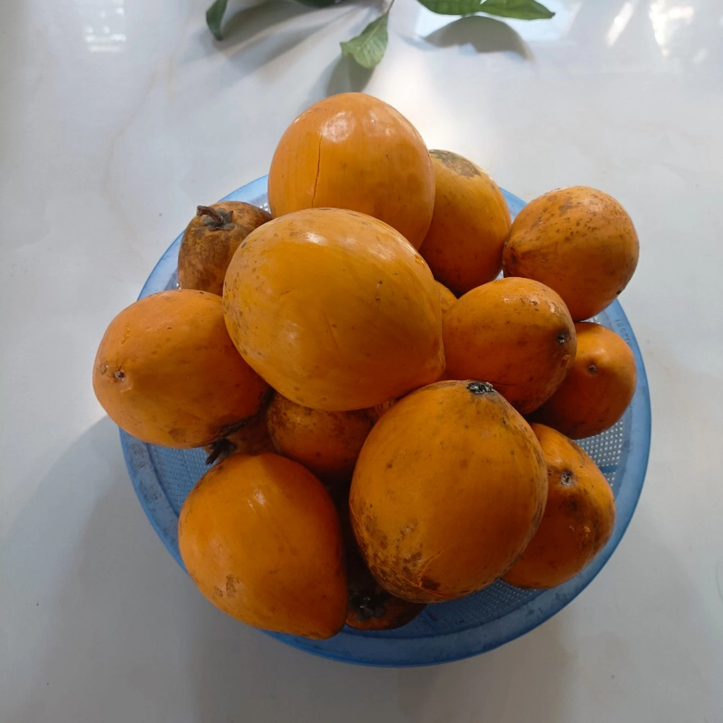 Bà mẹ ở Thái Bình chi 650.000 đồng mua đồ ăn đầy đủ cả tuần cho nhà 5 người - 2 Bà mẹ ở Thái Bình chi 650.000 đồng mua đồ ăn đầy đủ cả tuần cho nhà 5 người - 2